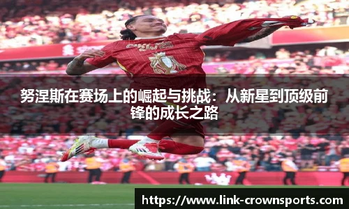努涅斯在赛场上的崛起与挑战：从新星到顶级前锋的成长之路
